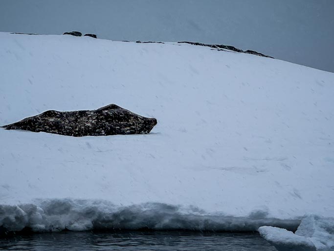 IMG_0358.jpg IMG_0358.jpg