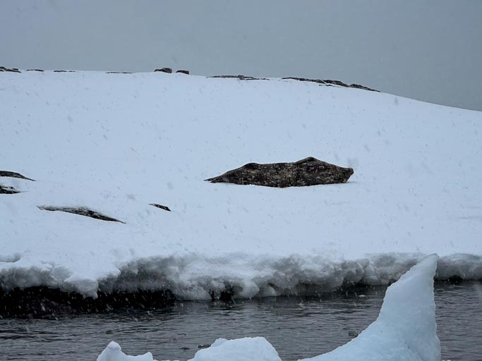 IMG_0363.jpg IMG_0363.jpg