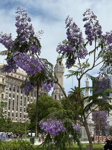 IMG_1189.jpg IMG_1189.jpg