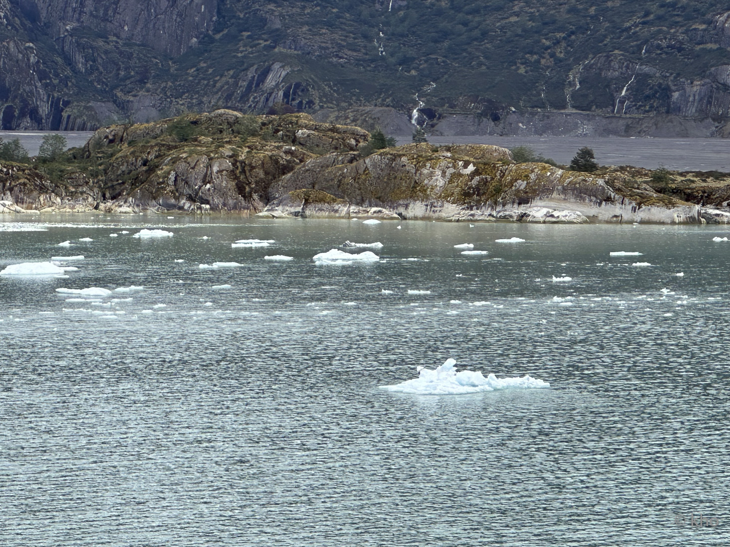 IMG_7236.jpg