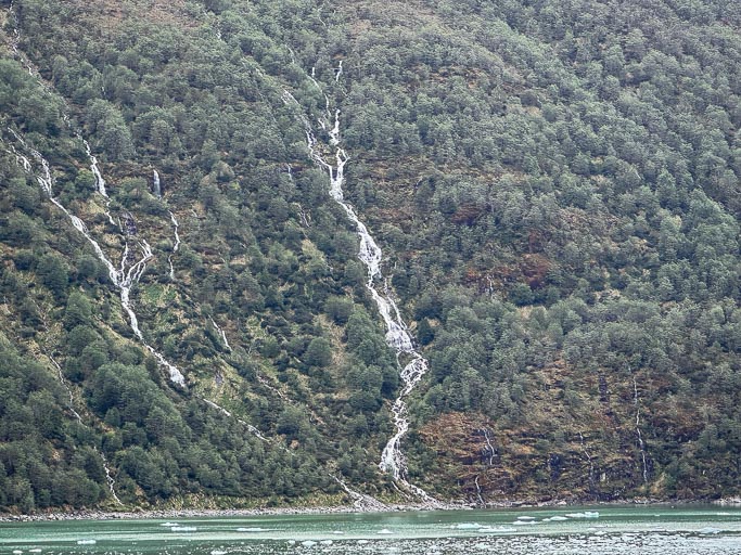 IMG_7242.jpg IMG_7242.jpg