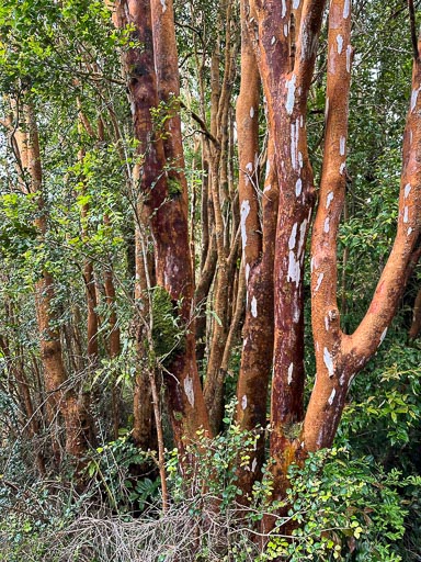 IMG_6716.jpg IMG_6716.jpg