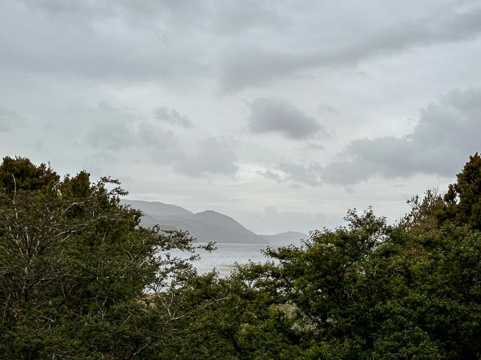 IMG_6718.jpg IMG_6718.jpg