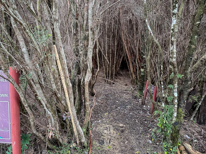 IMG_6722.jpg IMG_6722.jpg