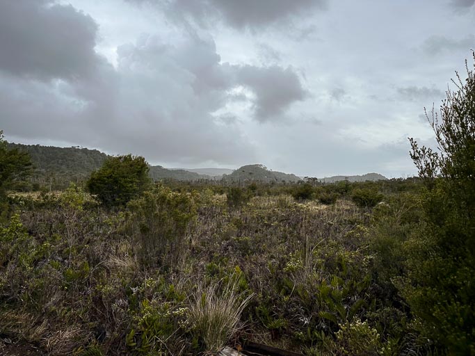 IMG_6726.jpg IMG_6726.jpg