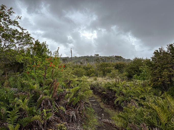 IMG_6729.jpg IMG_6729.jpg