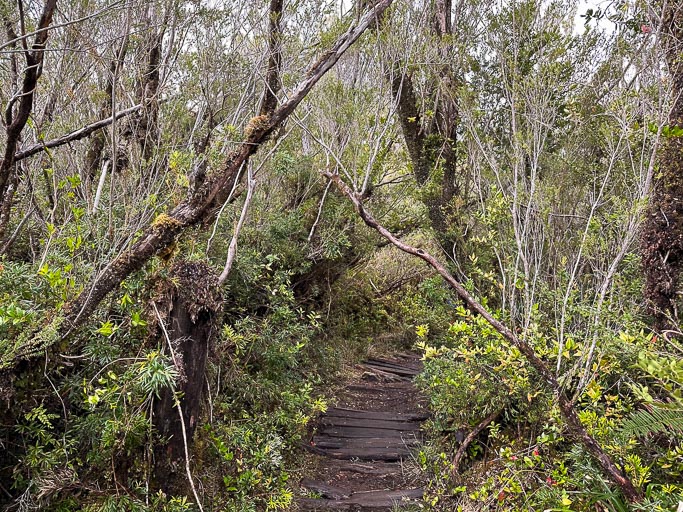 IMG_6735.jpg IMG_6735.jpg