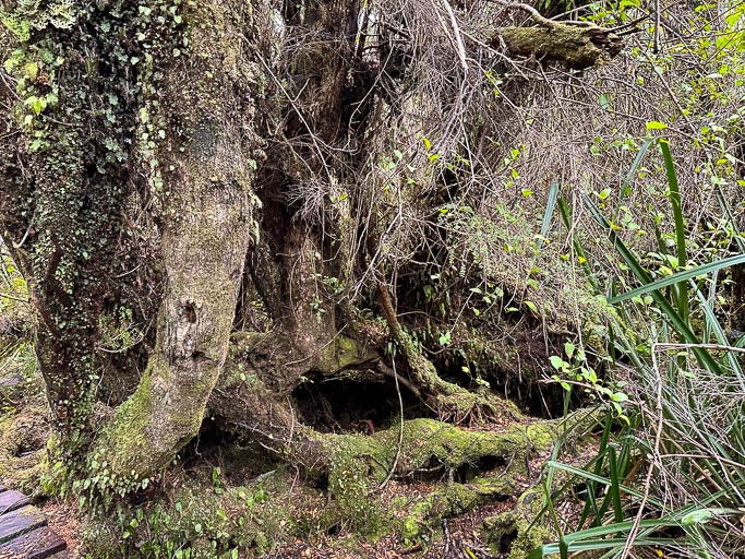 IMG_6738.jpg IMG_6738.jpg