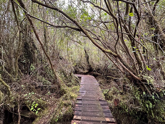 IMG_6743.jpg IMG_6743.jpg