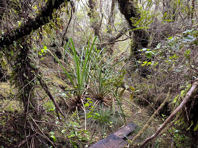 IMG_6745.jpg IMG_6745.jpg