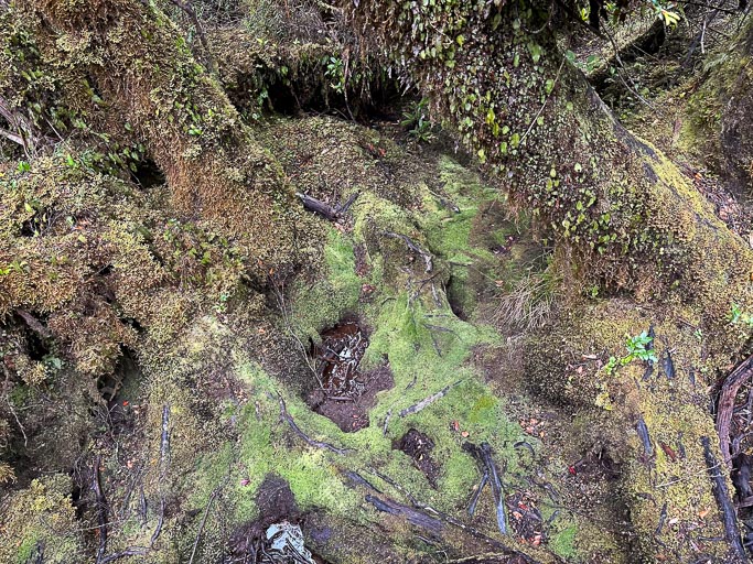 IMG_6750.jpg IMG_6750.jpg