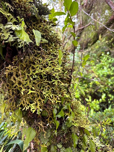 IMG_6753.jpg IMG_6753.jpg