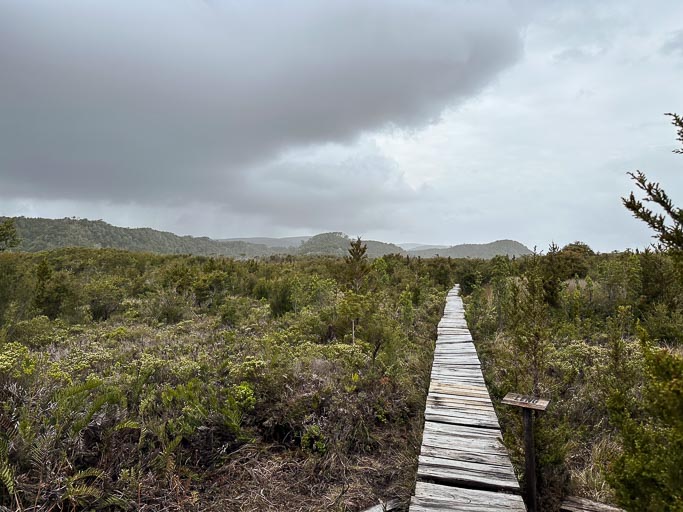 IMG_6758.jpg IMG_6758.jpg