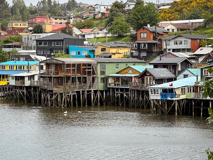 IMG_6772.jpg IMG_6772.jpg