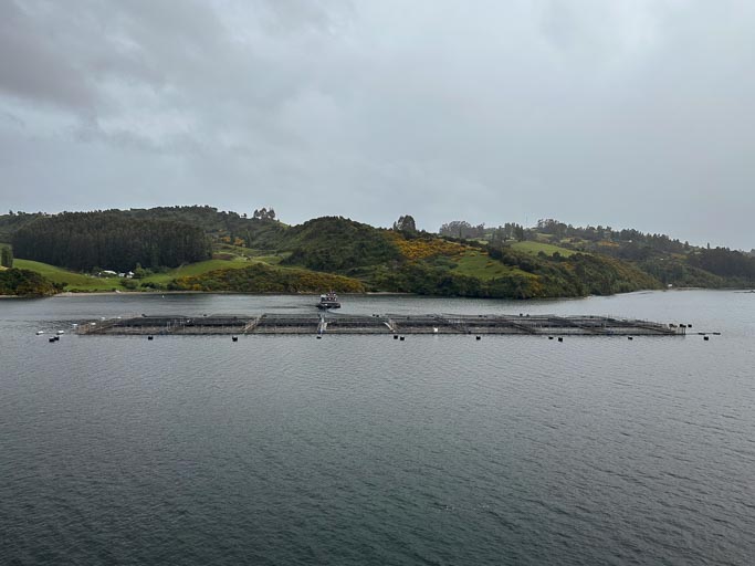 Chiloe