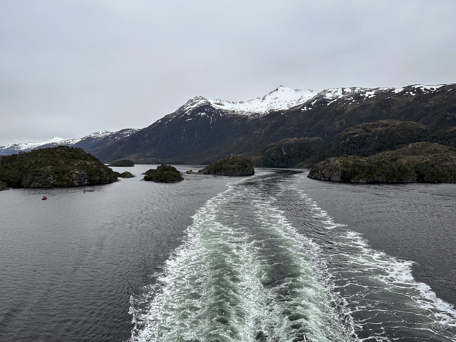 IMG_7567.jpg