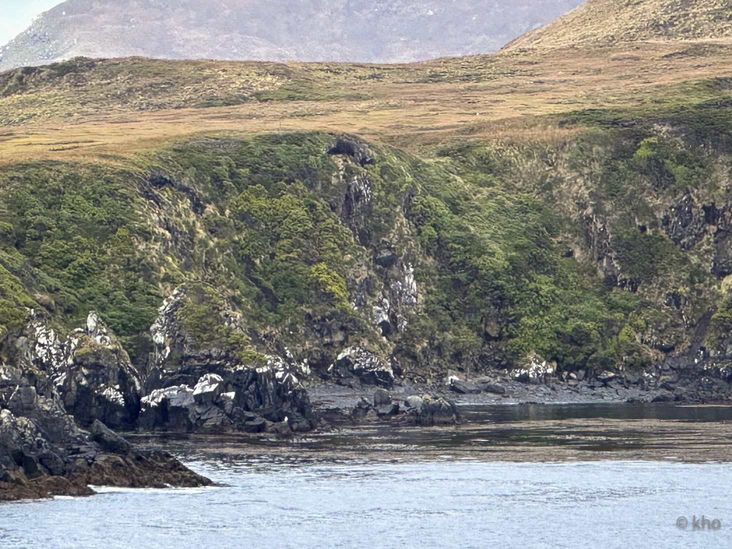 IMG_8335.jpg