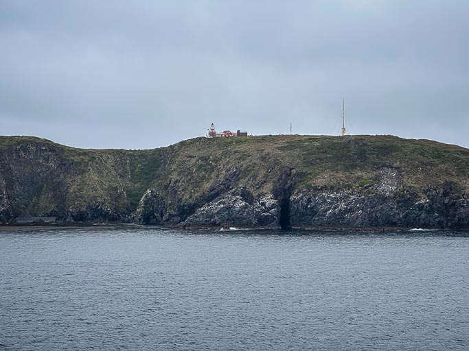 IMG_8305.jpg IMG_8305.jpg