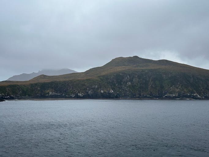 IMG_8308.jpg IMG_8308.jpg