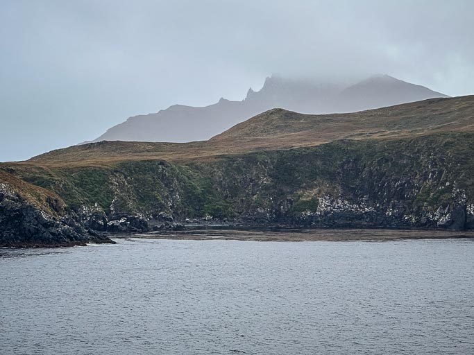 IMG_8311.jpg IMG_8311.jpg