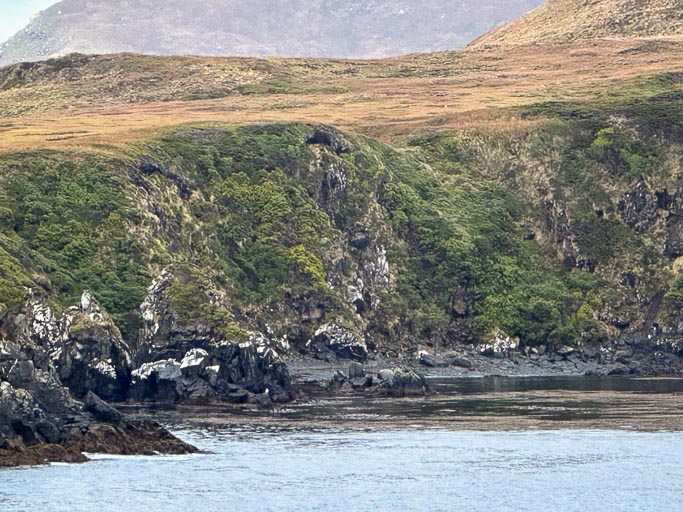 IMG_8335.jpg IMG_8335.jpg