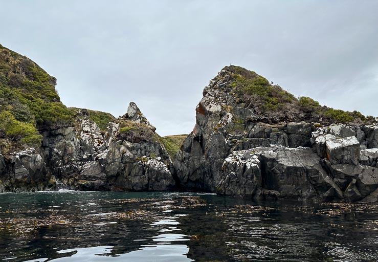 IMG_8365.jpg IMG_8365.jpg