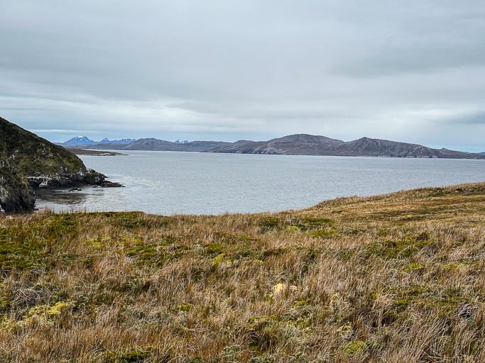 IMG_8381.jpg IMG_8381.jpg