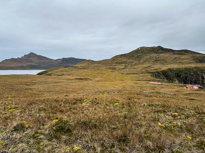 IMG_8382.jpg IMG_8382.jpg