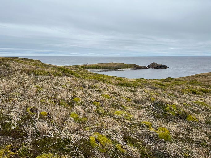 IMG_8384.jpg IMG_8384.jpg