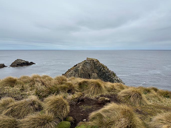 IMG_8404.jpg IMG_8404.jpg