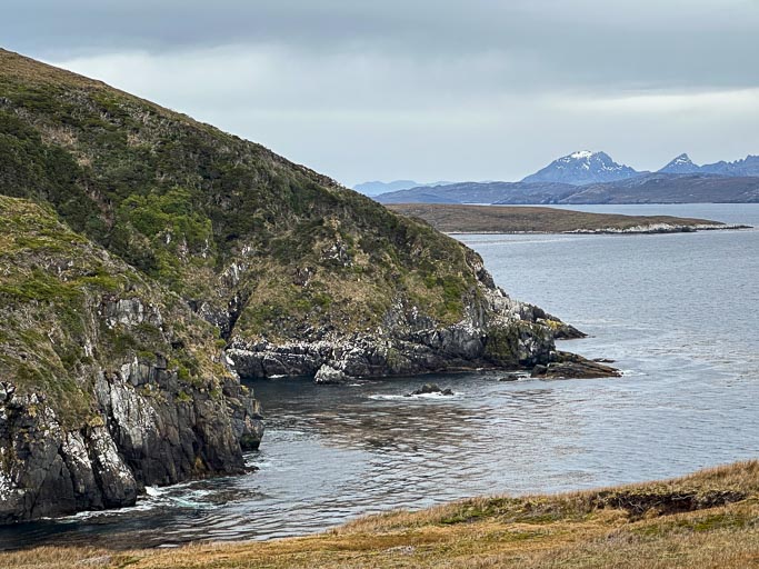 IMG_8415.jpg IMG_8415.jpg