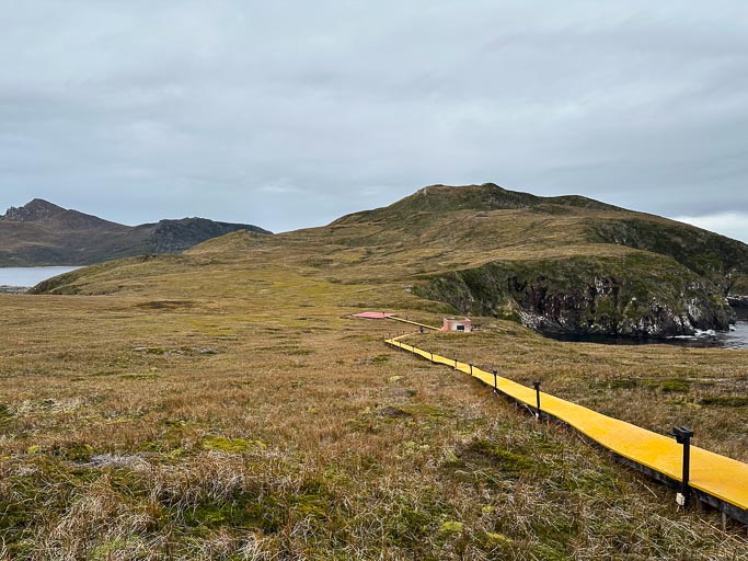 IMG_8417.jpg IMG_8417.jpg