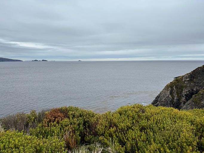 IMG_8446.jpg IMG_8446.jpg