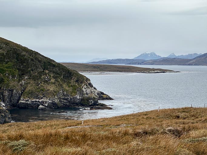 IMG_8458.jpg IMG_8458.jpg