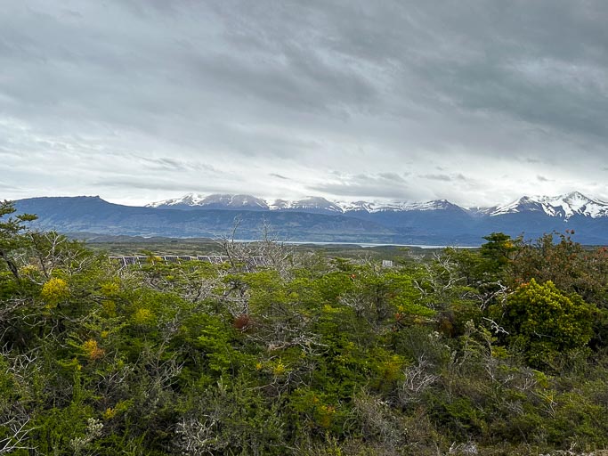 IMG_7626.jpg IMG_7626.jpg