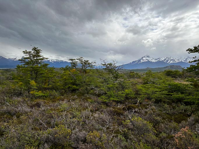 IMG_7629.jpg IMG_7629.jpg