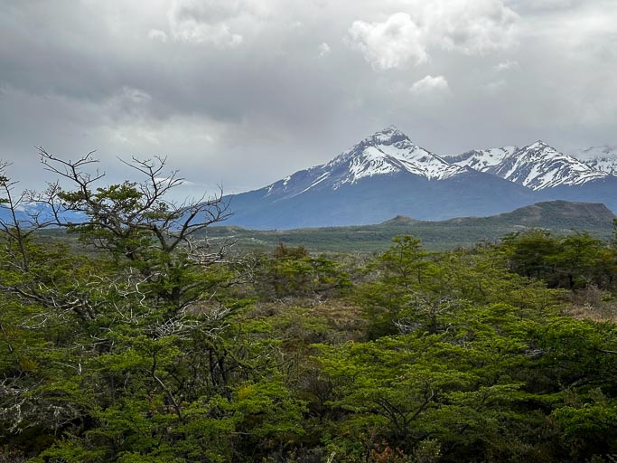 IMG_7630.jpg IMG_7630.jpg