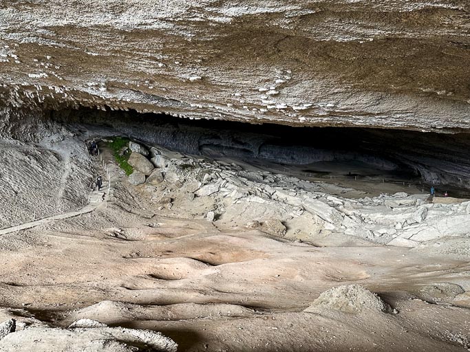 IMG_7645.jpg IMG_7645.jpg