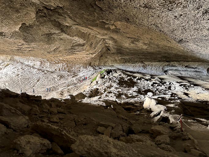 IMG_7653.jpg IMG_7653.jpg