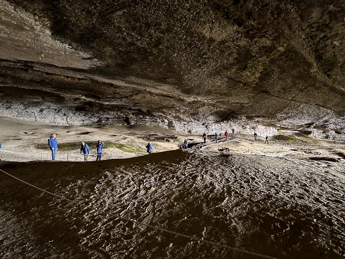 IMG_7659.jpg IMG_7659.jpg