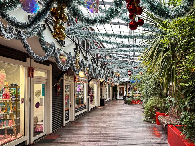 IMG_7681.jpg IMG_7681.jpg