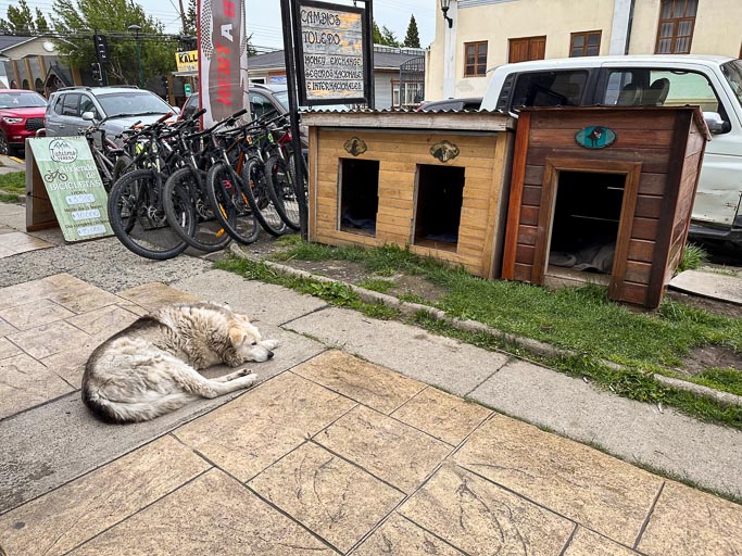 IMG_7685.jpg IMG_7685.jpg