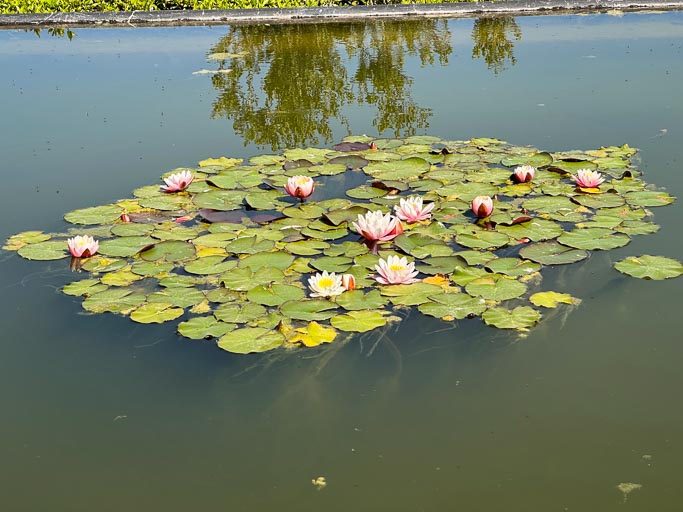 IMG_6025.jpg IMG_6025.jpg