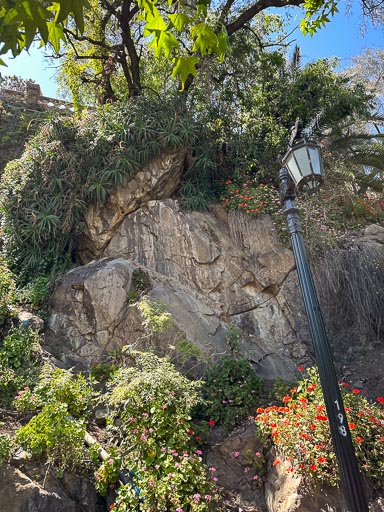 IMG_5725.jpg IMG_5725.jpg