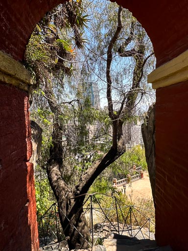 IMG_5773.jpg IMG_5773.jpg