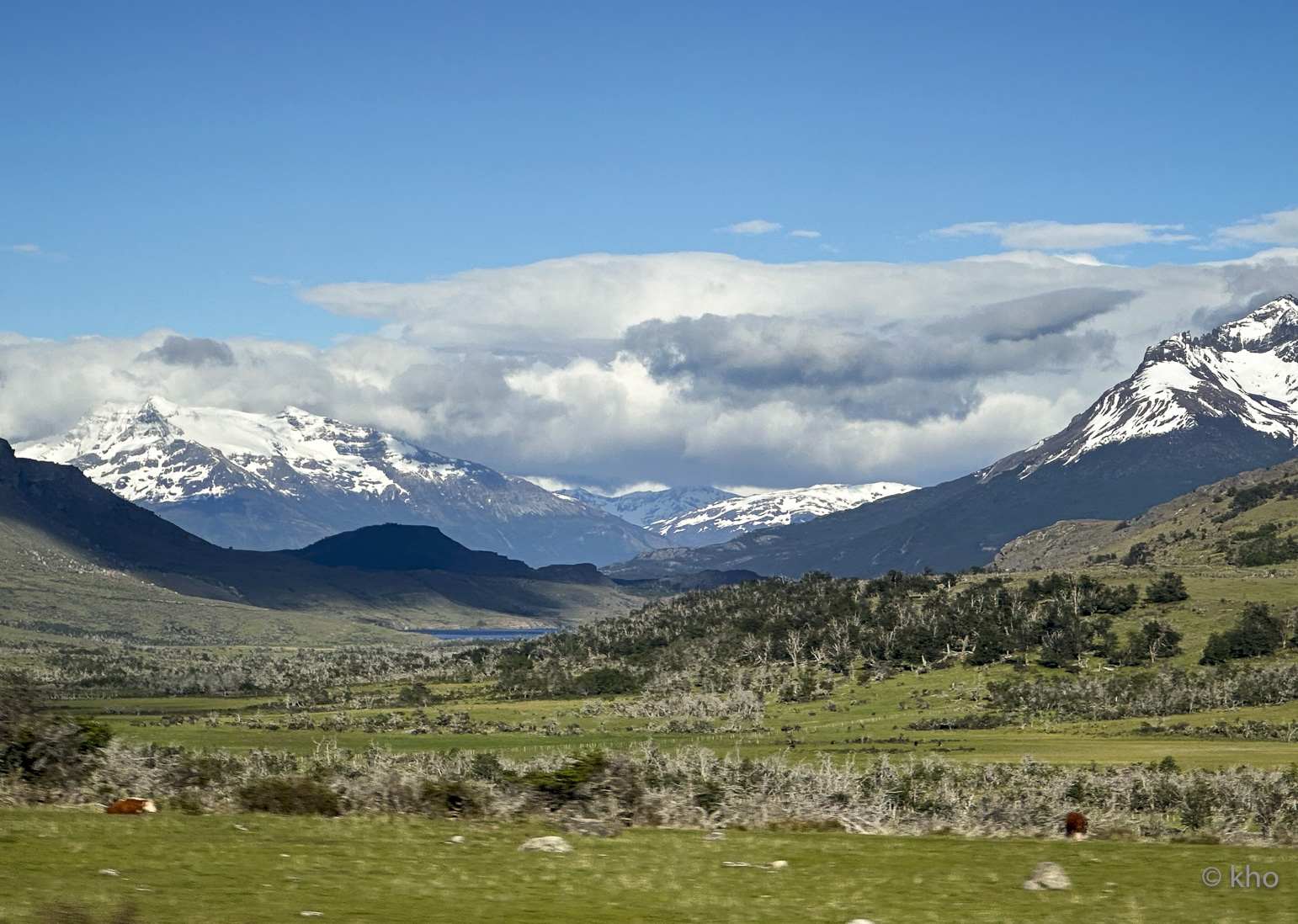 IMG_7727.jpg