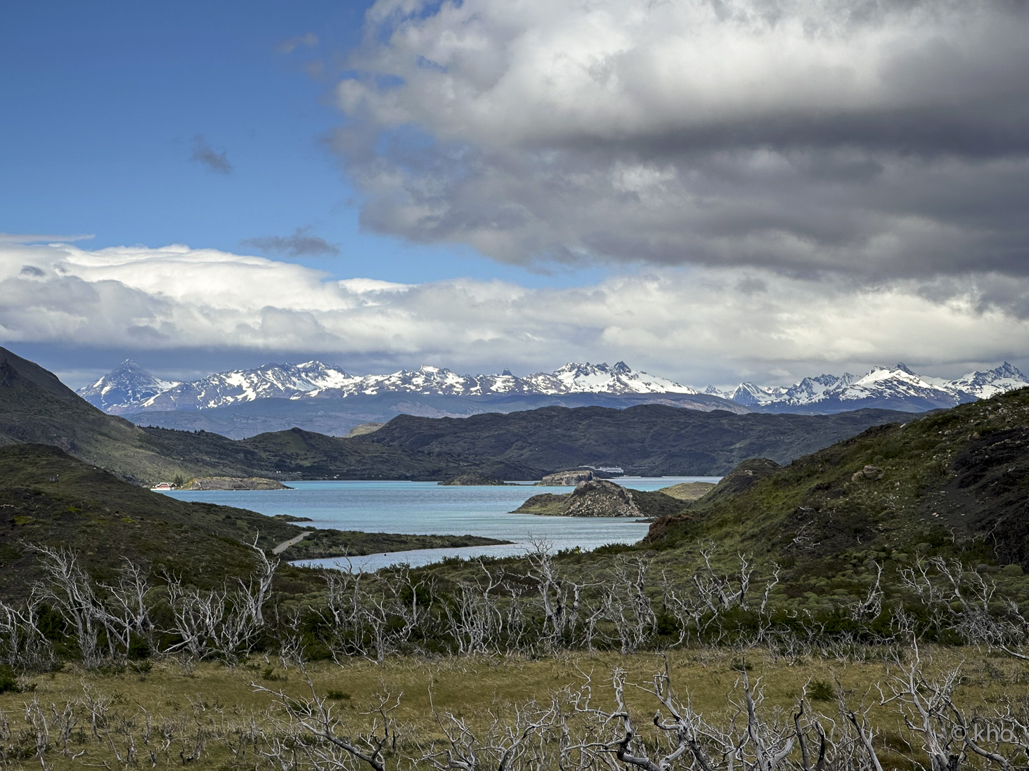 IMG_7876.jpg