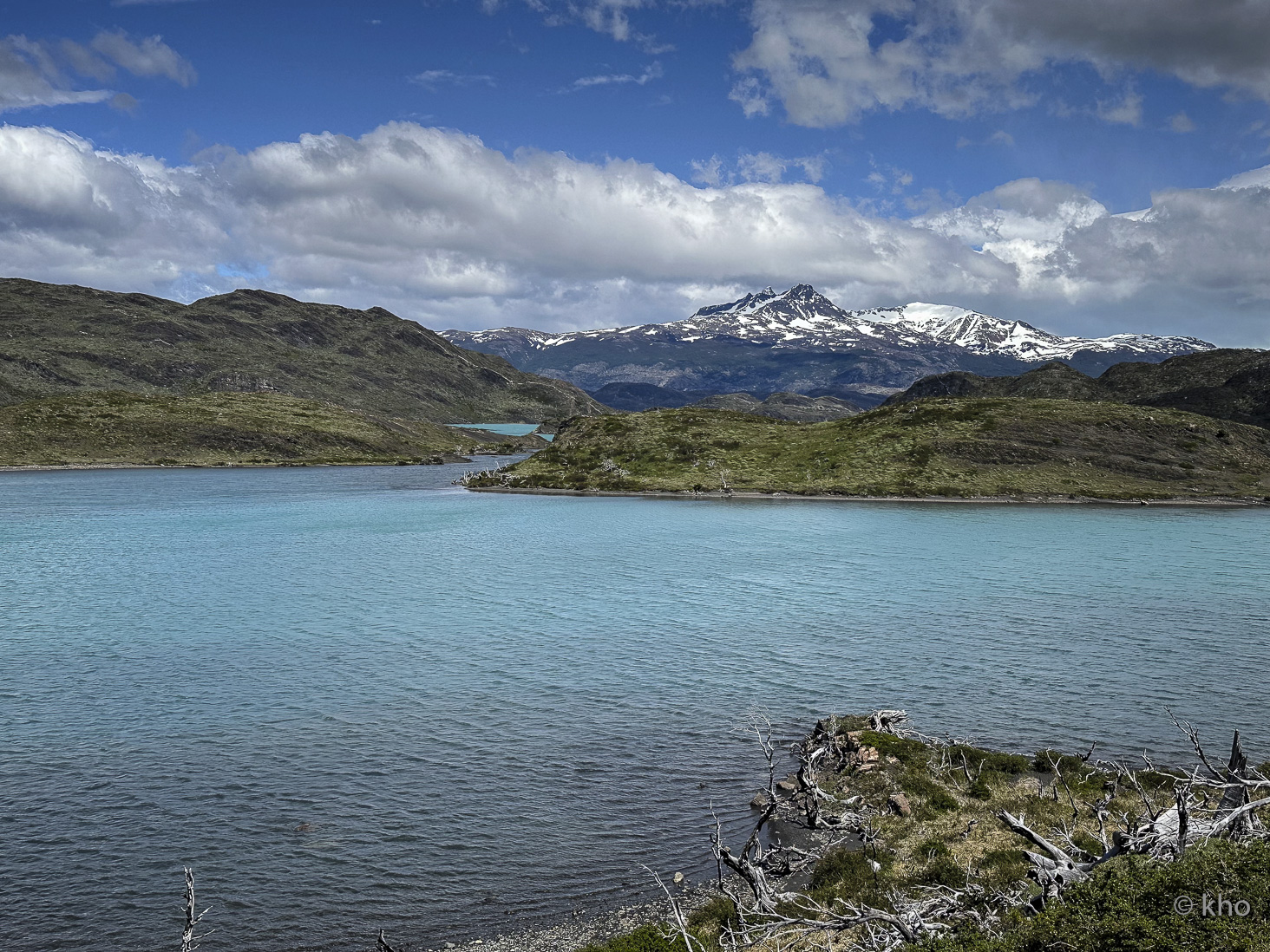 IMG_7918.jpg