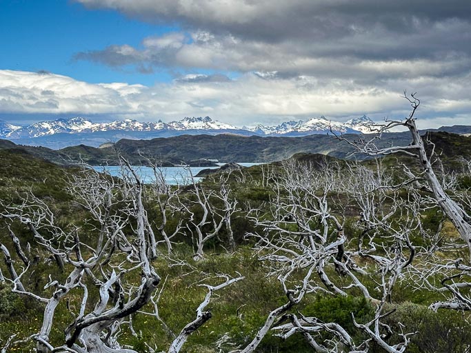 IMG_7869.jpg IMG_7869.jpg