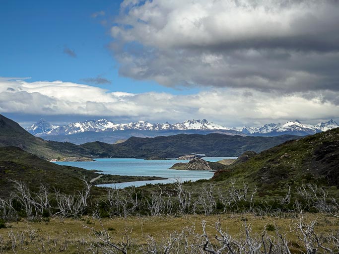 IMG_7876.jpg IMG_7876.jpg